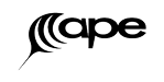 apesys_logo